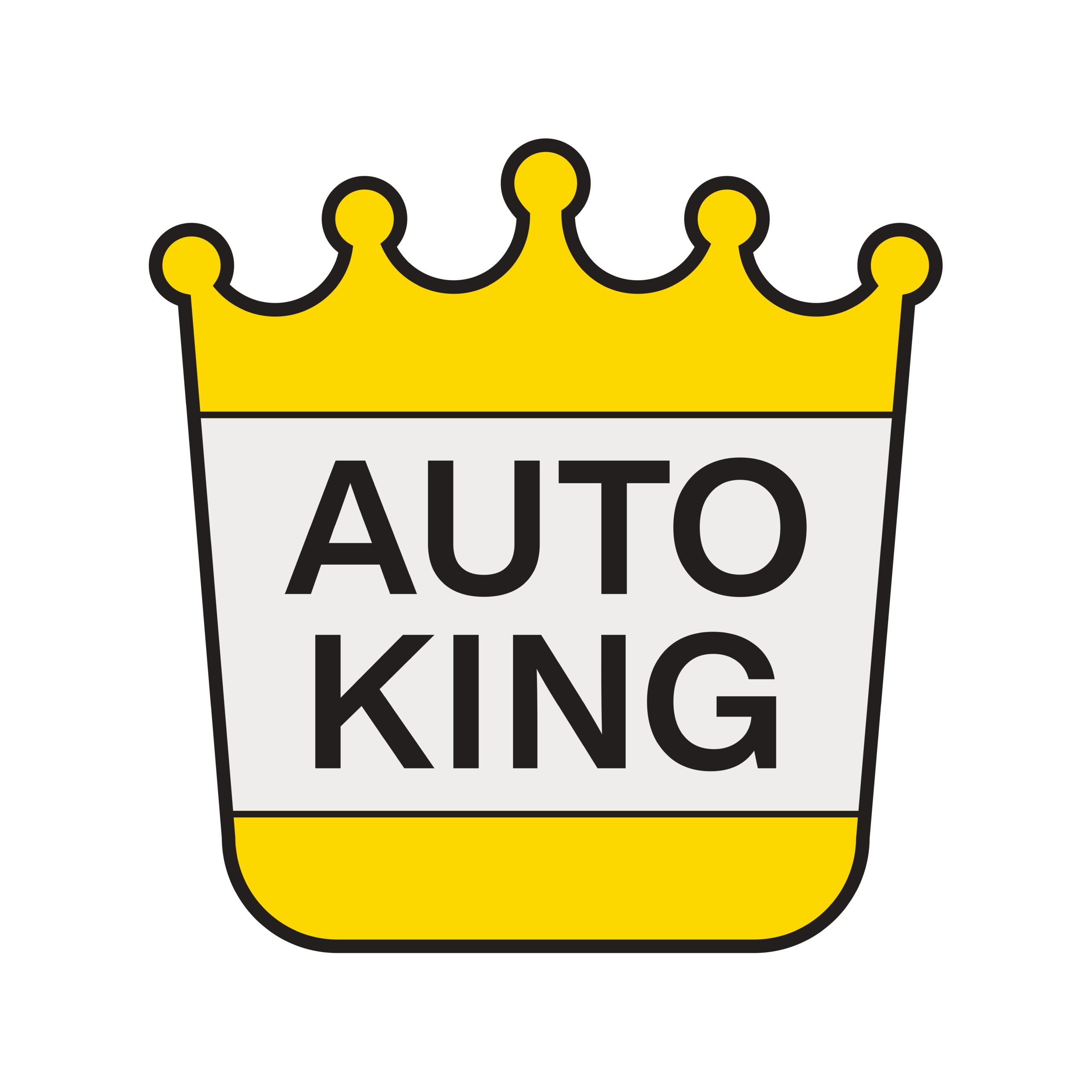 Mini Onarımda Yeni İş Birliği:   Allianz Türkiye ve Auto King’den Güçlü Ortaklık